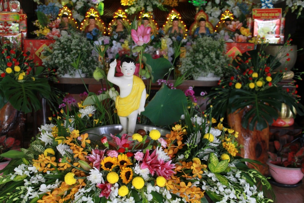 img 0876 copy